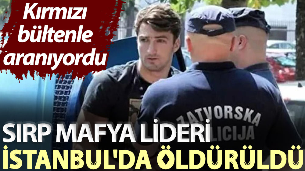 Kırmızı bültenle aranıyordu: Sırp mafya lideri İstanbul'da öldürüldü