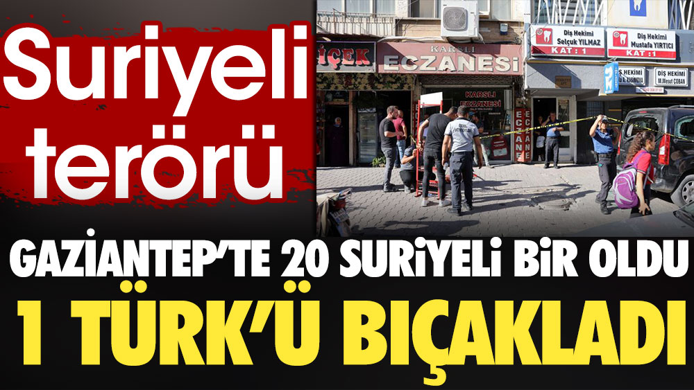 Suriyeli terörü. Gaziantep'te 20 Suriyeli bir oldu 1 Türk’ü bıçakladı