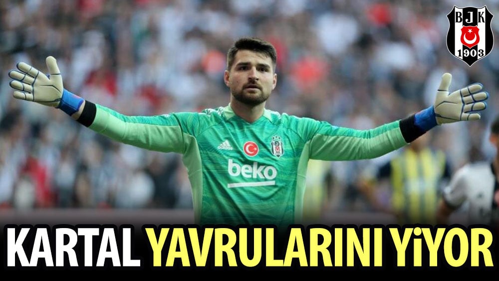 Kartal yavrularını yiyor