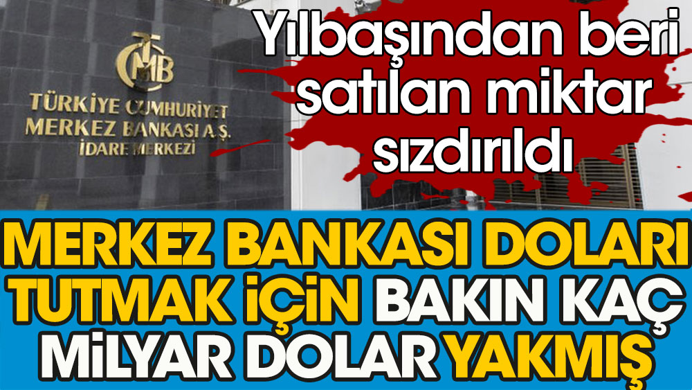 Merkez Bankası ile ilgili flaş iddia. Doları baskılamak için bakın kaç milyar dolar yakmış