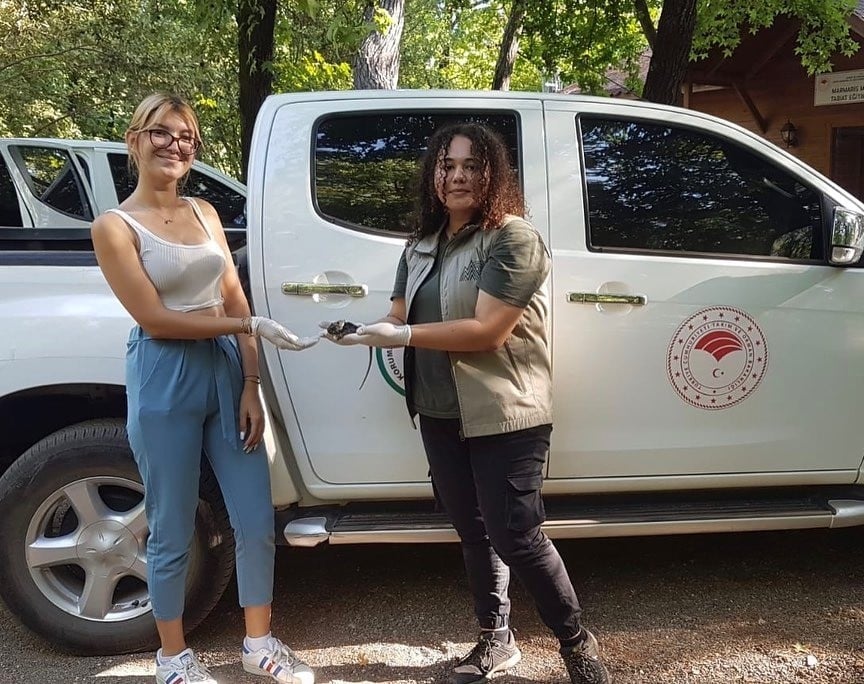 Yol kenarında bulunan bukalemun tedavi altına alındı