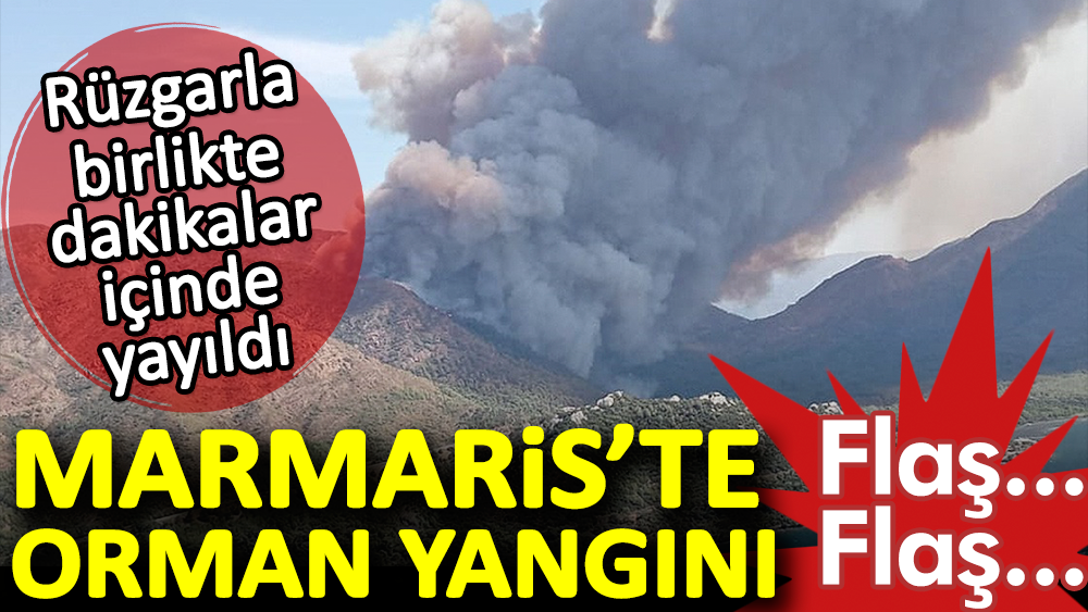 Marmaris'te orman yangını: Rüzgarla birlikte dakikalar içinde yayıldı