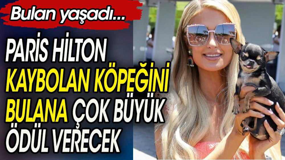 Paris Hilton'un  kayıp köpeği Diamond Baby'yi bulanı çok büyük ödül bekliyor