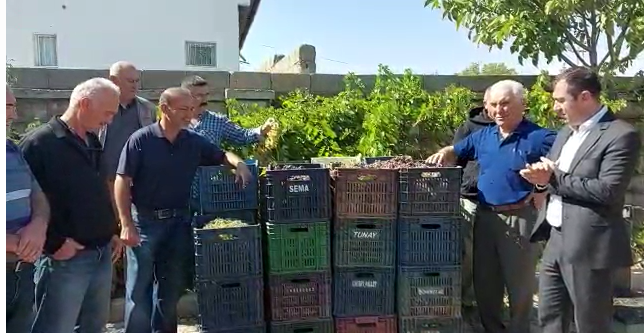 İYİ Partili Ahmet Erdemli'den üzüm fiyatı tepkisi