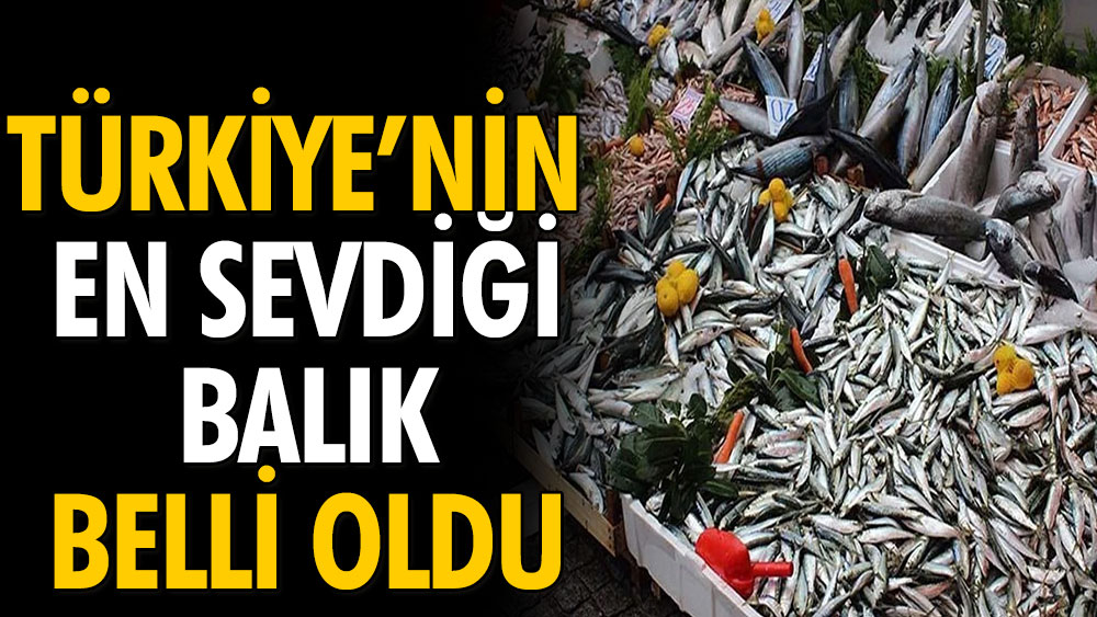 Türkiye’nin en sevdiği balık belli oldu 