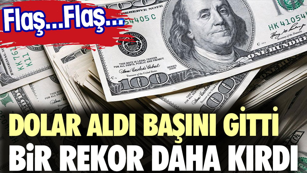 Flaş...Flaş Dolar aldı başını gitti bir rekor daha kırdı