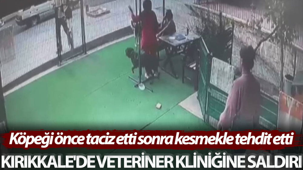 Kırıkkale'de veteriner kliniğine saldırı! Köpeği önce taciz etti sonra kesmekle tehdit etti