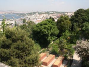 Türkiye’nin ilk botanik bahçesi yok ediliyor