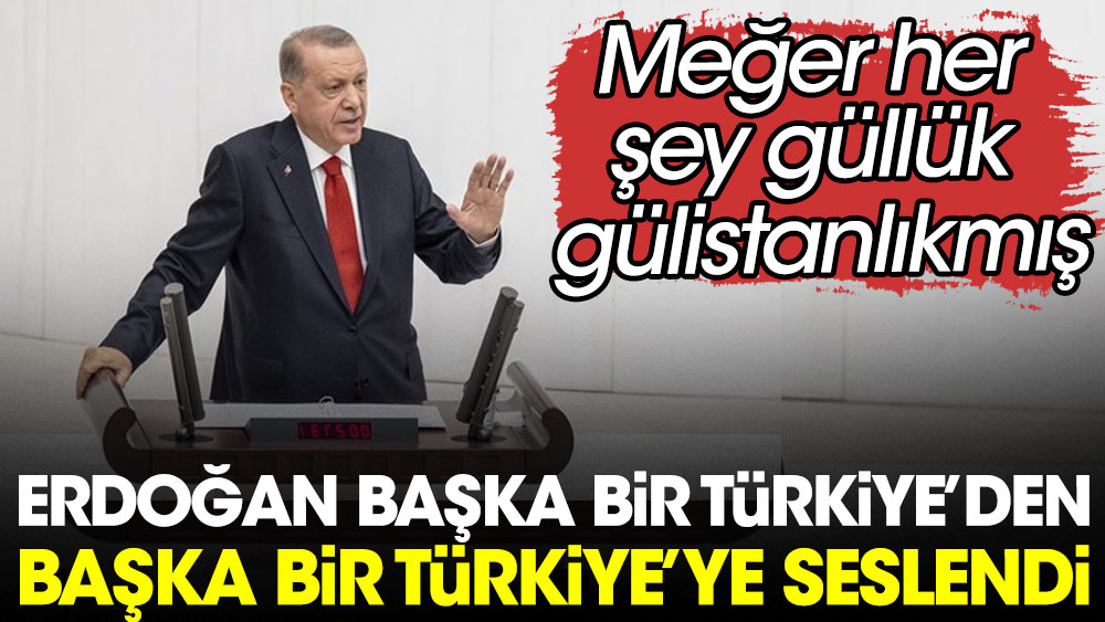 Erdoğan başka bir Türkiye'den başka bir Türkiye'ye seslendi. Meğer her şey güllük gülistanlıkmış