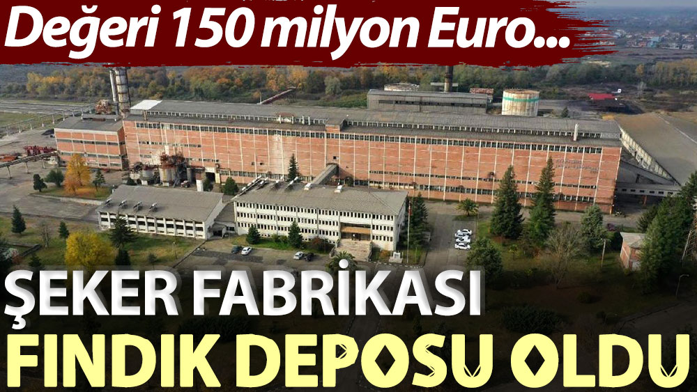 Değeri 150 milyon Euro... Şeker fabrikası fındık deposu oldu