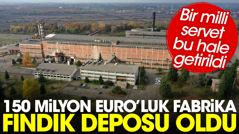 150 milyon Euro'luk fabrika fındık deposu oldu