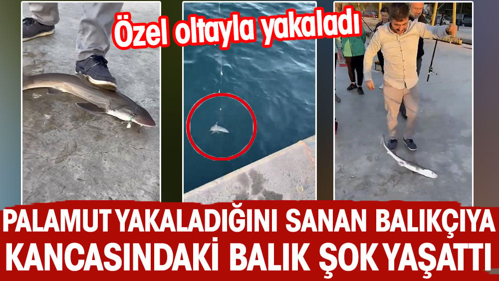 Özel oltayla yakaladı. Palamut yakaladığını sanan balıkçıya kancasındaki balık şok yaşattı