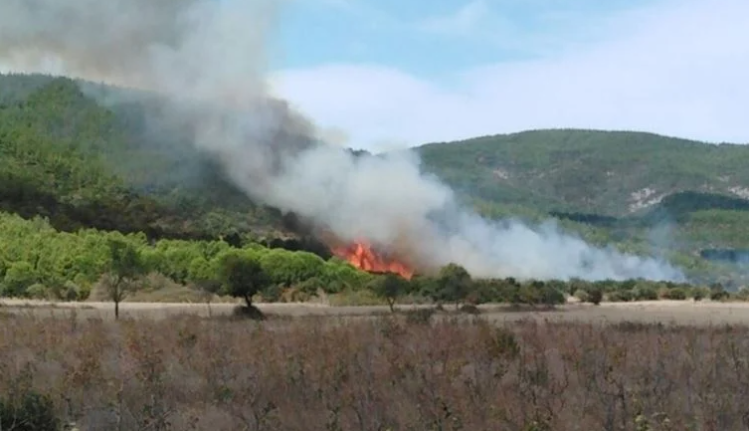 Çanakkale'de orman yangını çıktı. Havadan ve karadan müdahale ediliyor