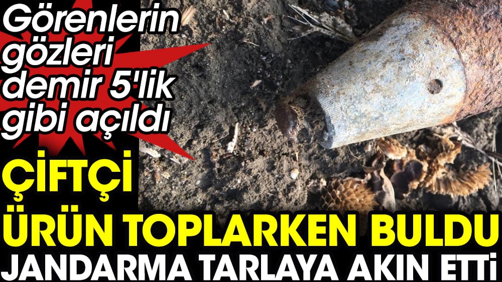 Çiftçi ürün toplarken buldu jandarma tarlaya akın etti