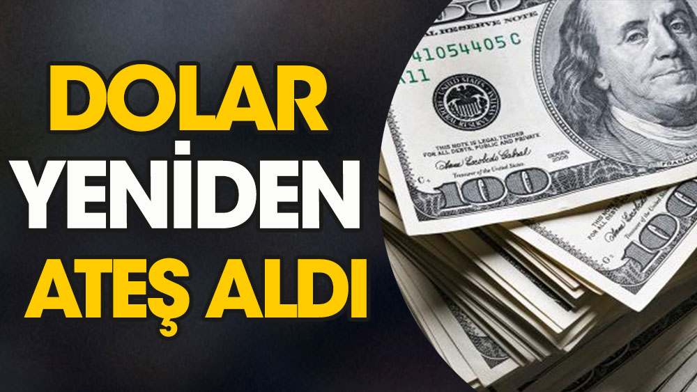 Dolar yeniden ateş aldı