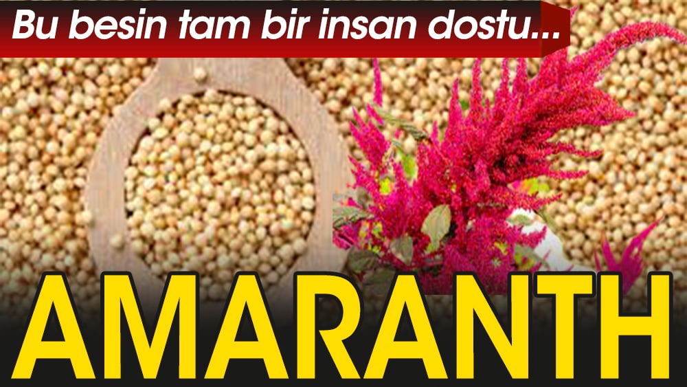 Bu besin tam bir insan dostu...