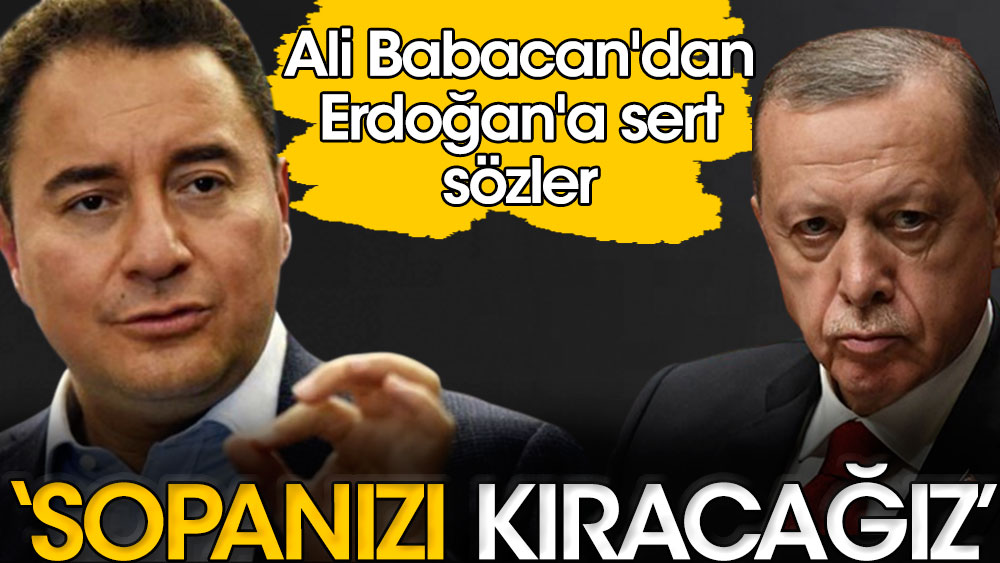 Ali Babacan'dan Erdoğan'a sert sözler: Sopanızı kıracağız