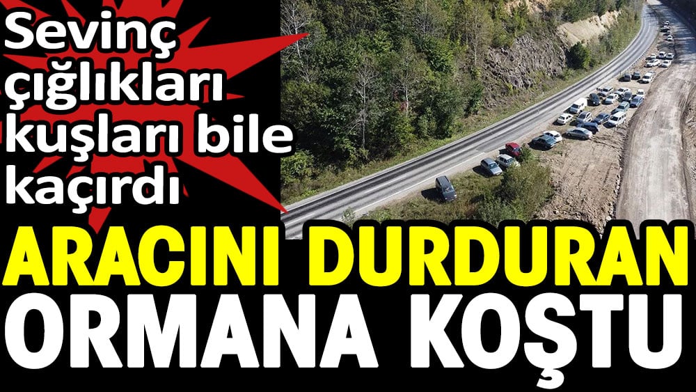 Aracını durduran ormana koştu. Sevinç çığlıkları kuşları bile kaçırdı 