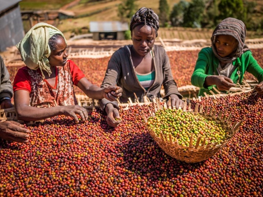 Etiyopya'dan 38 ürüne ithalat yasağı