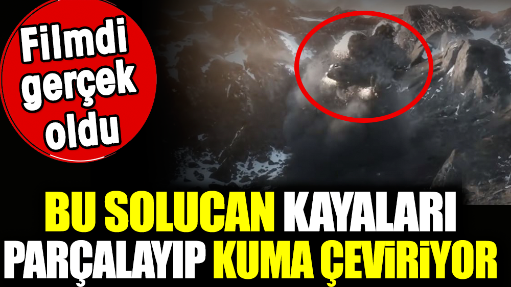 Filmdi gerçek oldu. Bu solucan kayaları parçalayıp kuma çeviriyor