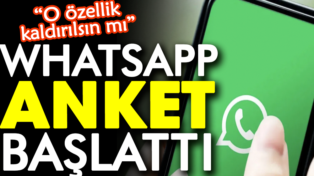 WhatsApp anket başlattı: O özellik kaldırılsın mı