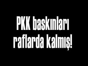 PKK baskınları raflarda kalmış!