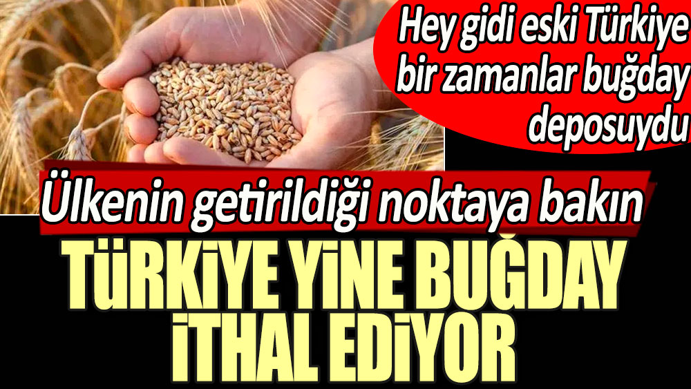 Ülkenin getirildiği noktaya bakın: Türkiye yine buğday ithal ediyor