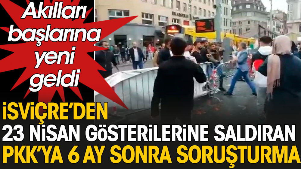 İsviçre’den 23 Nisan gösterilerine saldıran PKK’lı teröristlere 6 ay sonra soruşturma: Akılları başlarına yeni geldi