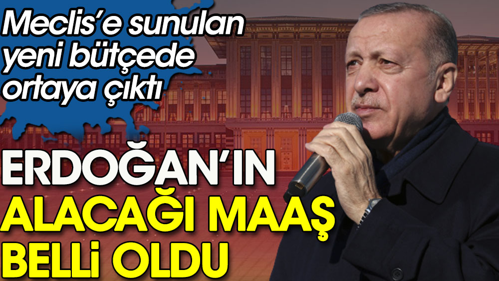 Meclis e Sunulan Yeni B t ede Ortaya kt Erdo an n Alaca Maa 