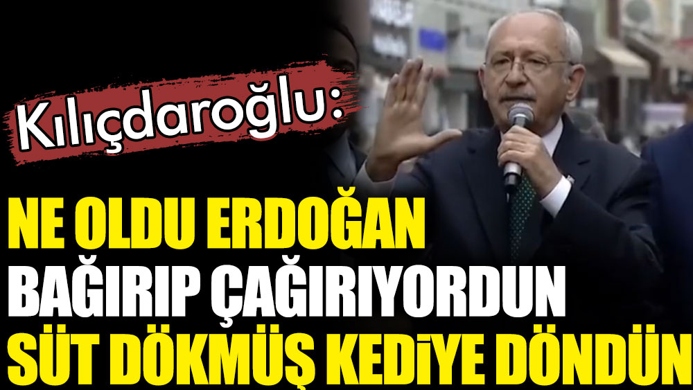 Kılıçdaroğlu: Ne oldu Erdoğan, bağırıp çağırıyordun süt dökmüş kediye döndün