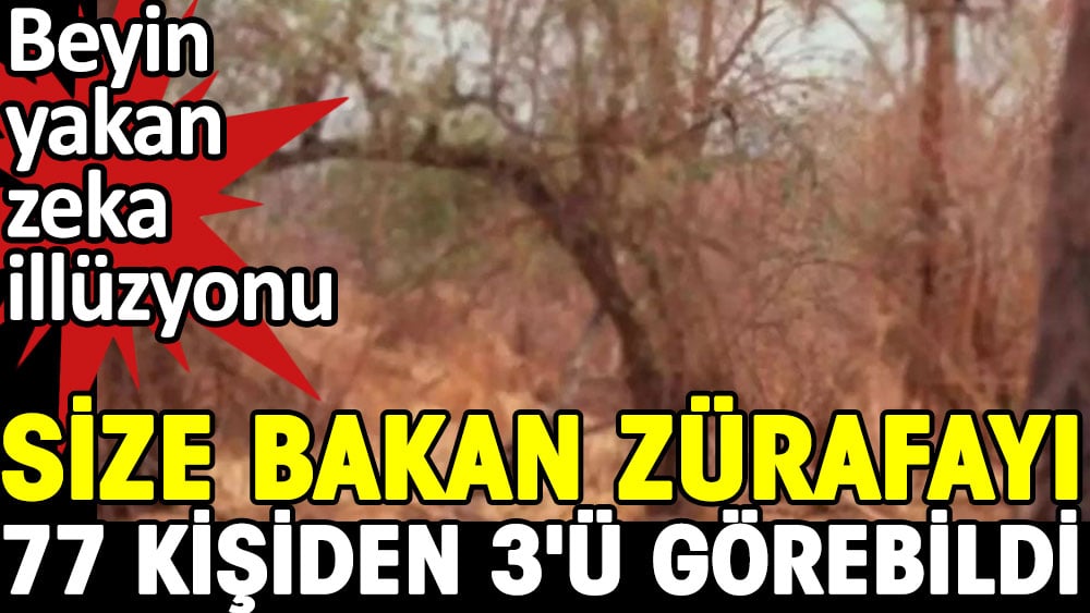 Size bakan zürafayı 77 kişiden 3'ü görebildi. Beyin yakan zeka illüzyonu