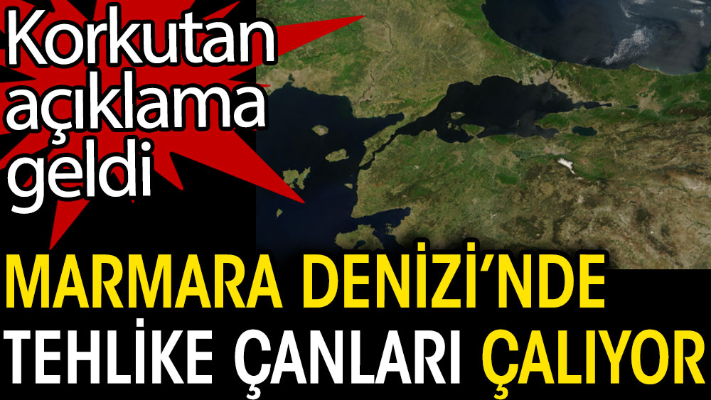 Marmara Denizi'nde tehlike çanları çalıyor. Korkutan açıklama geldi