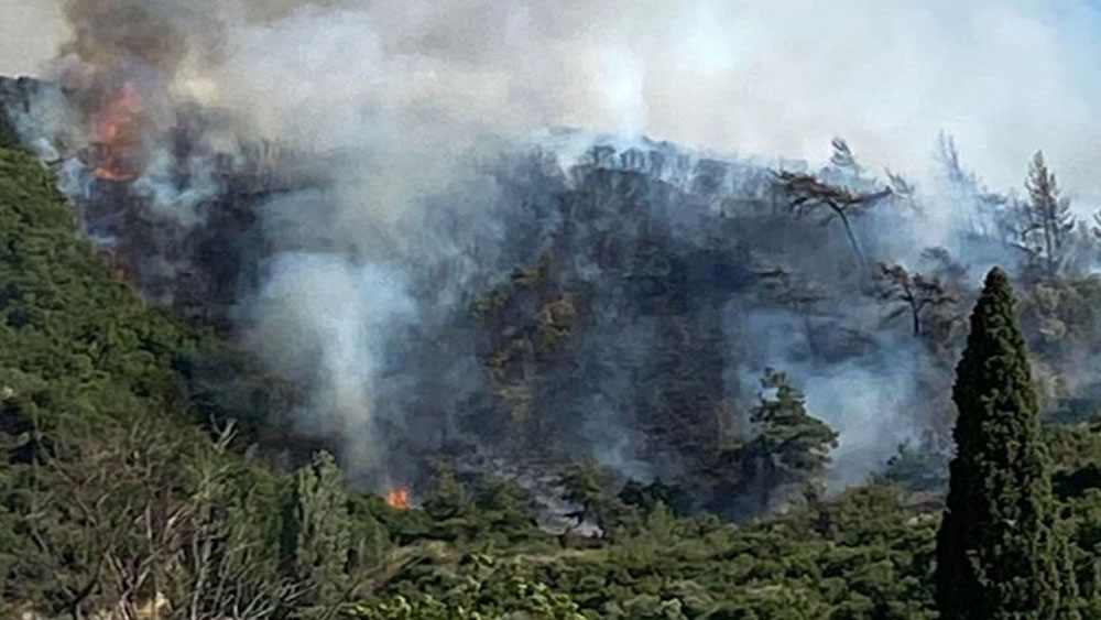 Ormanlık alana yıldırım düştü, yangın çıktı! Havadan müdahale sürüyor