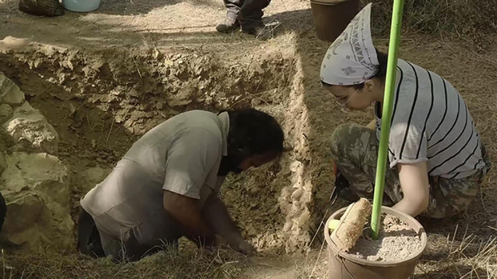 Çanakkale'deki kazılarda bulundu! İnsan göçleri hakkında ipuçları verecek