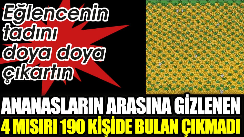 Ananasların arasına gizlenen 4 mısırı 190 kişide kimse bulamadı