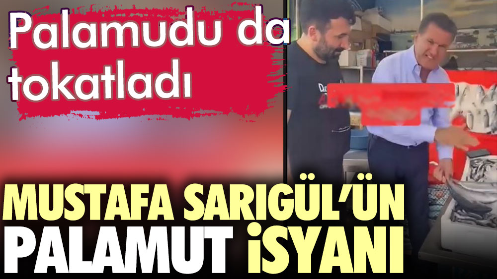 Mustafa Sarıgül'ün palamut isyanı. Palamudu da tokatladı