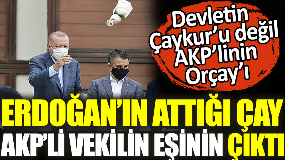 Erdoğan'ın attığı çay AKP'li vekilin eşinin çıktı. Devletin Çaykur'u değil AKP'linin Orçay'ı