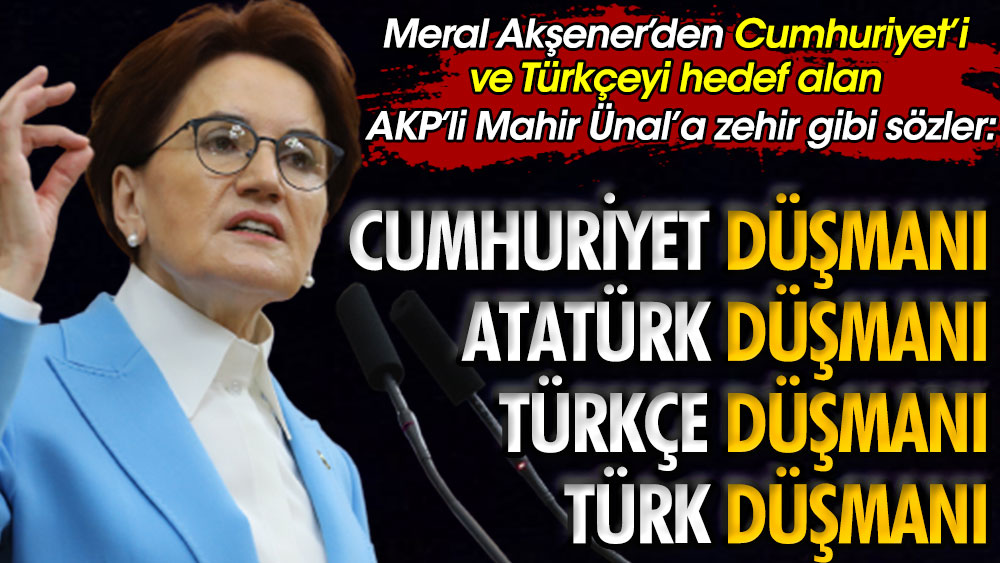 Meral Akşener'den AKP'li Mahir Ünal'a zehir gibi sözler: Cumhuriyet düşmanı Atatürk düşmanı Türkçe düşmanı Türk düşmanı