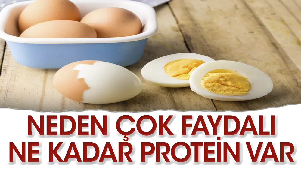 Yumurtada ne kadar protein var, kaç kalori?