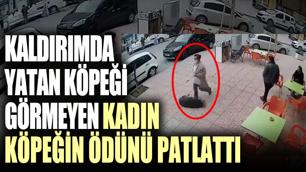 Kaldırımda yatan köpeği görmeyen kadın köpeğin ödünü patlattı