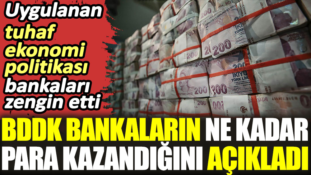 BDDK bankaların ne kadar para kazandığını açıkladı. Uygulanan tuhaf ekonomi politikası bankaları zengin etti
