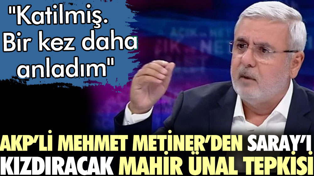 AKP'li Mehmet Metiner'den Saray'ı kızdıracak Mahir Ünal tepkisi. "Katilmiş. Bir kez daha anladım"