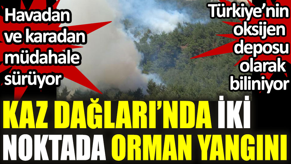 Kazdağları'nda orman yangını! Türkiye’nin oksijen deposu olarak biliniyor