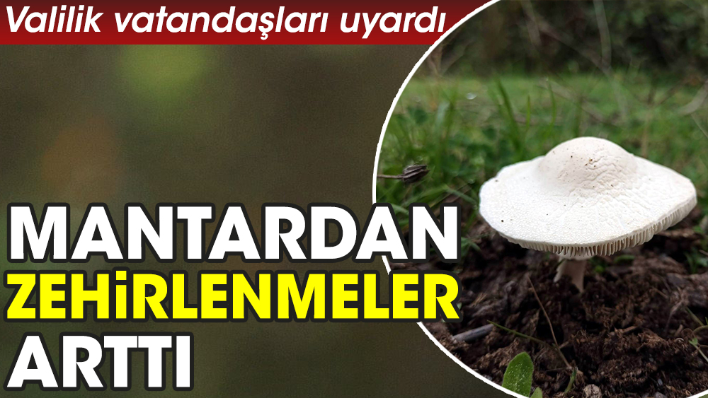 Mantardan zehirlenmeler arttı. Valilik vatandaşları uyardı