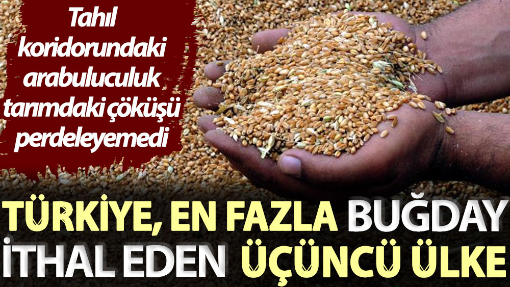 Tahıl koridorundaki arabuluculuk tarımdaki çöküşü perdeleyemedi: Türkiye, en fazla buğday ithal eden üçüncü ülke