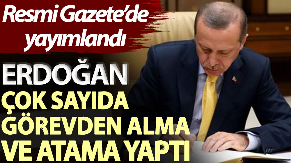 Resmi Gazete'de yayımlandı: Erdoğan çok sayıda görevden alma ve atama yaptı