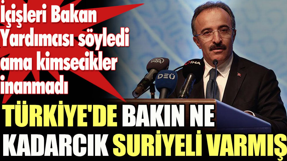 Türkiye'de bakın ne kadar Suriyeli varmış. İçişleri Bakan Yardımcısı söyledi