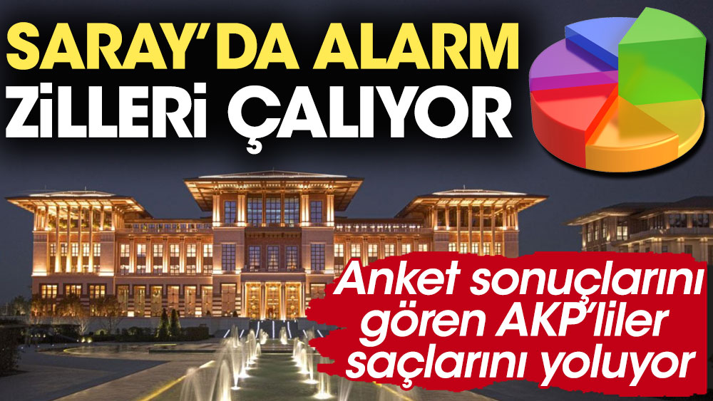Anket sonuçlarını gören AKP’liler saçlarını yoluyor. Saray’da alarm zilleri çalıyor