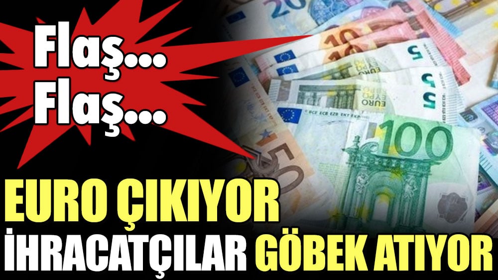 Euro çıkıyor, ihracatçılar göbek atıyor