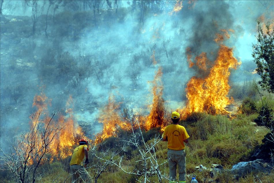 Ciğerlerimiz yandı. Bakan Kirişçi bu yıl çıkan yangınların sayısını ve yanan alanları açıkladı